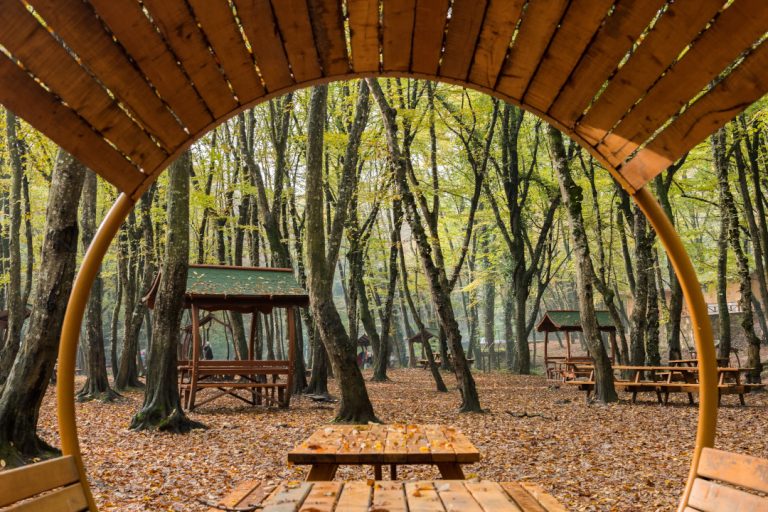 İstanbul’un Piknik Rotaları