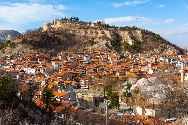 Daha Önce Tattınız mı? – Simav’ın İlginç Lezzetleri